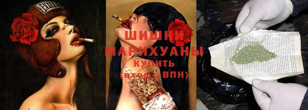 мет Ельня