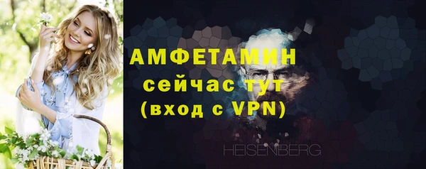 мет Ельня