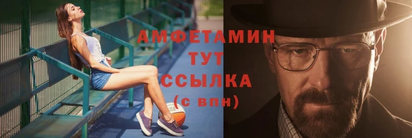 мет Ельня