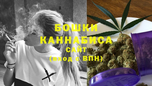 мет Ельня