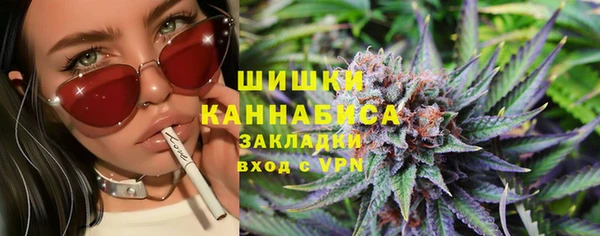 мет Ельня
