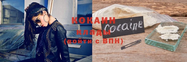 мет Ельня