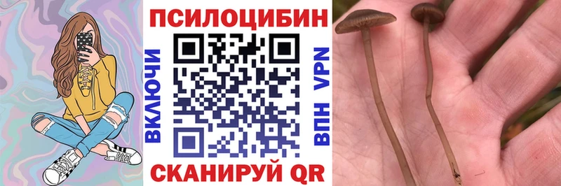 как найти закладки  гидра   Галлюциногенные грибы прущие грибы  Салехард 